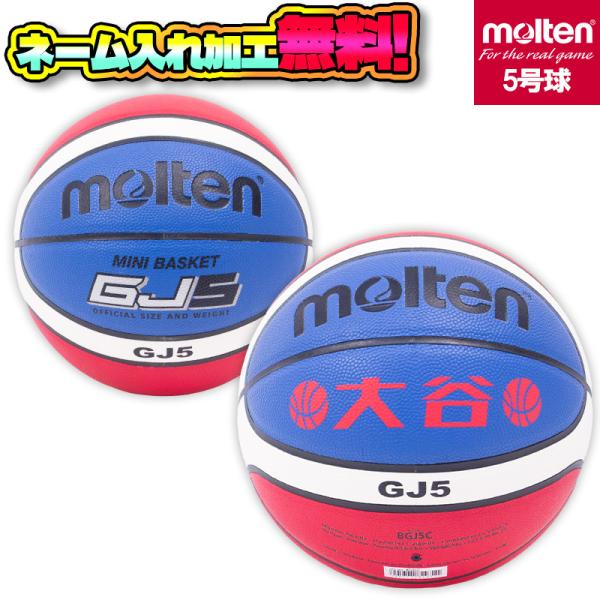 モルテン(molten) ボールネット