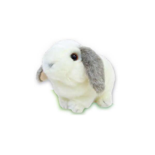 ヨシ180129 【送料無料】【オリジナル】ロップイヤーラビット