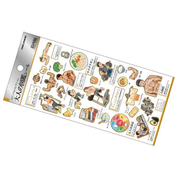 カミ213821 【日本製】大人の図鑑シール【筋肉】【ステッカー