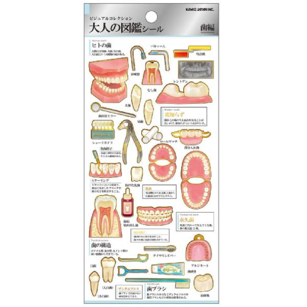 [Release date: March 31, 2026]カミ224587 【日本製】【大人の図鑑】シール【歯】【ステッカー】【文房具】【雑貨】【グッズ】【かわいい】【日本製】【大人の図鑑】シール【歯】【ステッカー】【文房具】【雑貨】【グ...