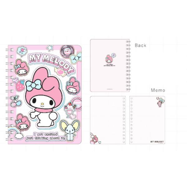 ishidaya-co_250zak216ms