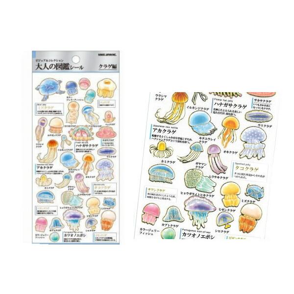 カミ オリジナル 大人の図鑑シール クラゲ くらげ 生き物 海 魚 動物 アニマル シール ステッカー 文房具 学校 96zak442m いしだ屋 通販 Yahoo ショッピング