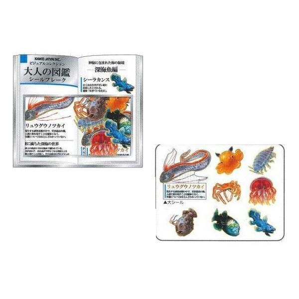 カミ オリジナル 大人の図鑑シールフレーク 深海魚 海の生き物 生き物 シール ステッカー 文房具 学校 雑貨 グッズ か 96zak674m いしだ屋 通販 Yahoo ショッピング