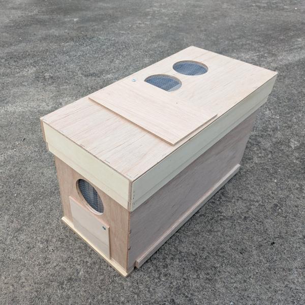 【ご注文後1週間以内の発送】長期交配用ミツバチ べニヤ巣箱 女王蜂入り 2枚群 約4000匹 交配用ミツバチ販売 ポリネーション 産地直送