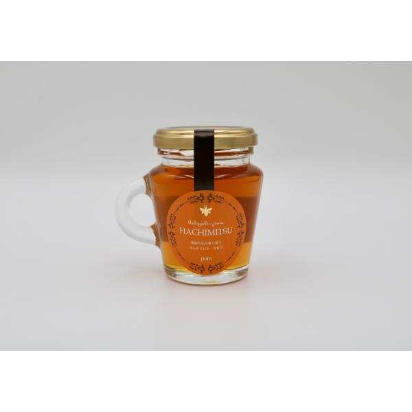石垣島はちみつ 冬蜜 120g 【冬に採れる希少蜂蜜】