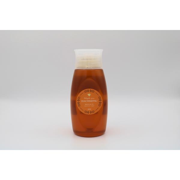 石垣島はちみつ 冬蜜 500g ソフトボトル 【冬に採れる希少蜂蜜】