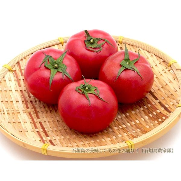 赤うまトマト　A品2ｋｇ　沖縄石垣島産　送料無料