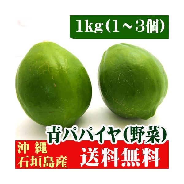 パパイン酵素など体にいい成分がたっぷりの島野菜「青パパイヤ」。チャンプルー料理や煮物、サラダなどに生の青パパイヤはいかが？沖縄県石垣島産の青パパイヤ１ｋｇ（１〜５個）。送料無料でお届け致します。※「配達日指定」は受け付けができませんのでご了...