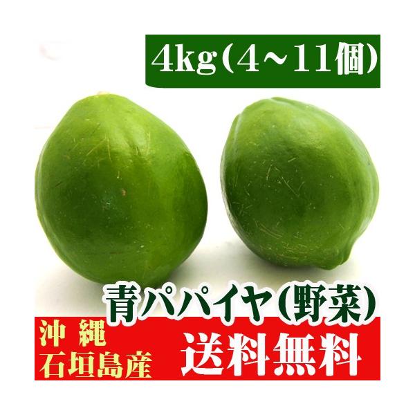 パパイン酵素など体にいい成分がたっぷりの沖縄の島野菜「青パパイヤ」。チャンプルー料理や煮物、サラダなどに！沖縄石垣島産の「青パパイヤ４ｋｇ（３〜１５個）」。全国どこでも送料無料でお届け致します。※「配達日指定」は受付ができませんのでご了承く...