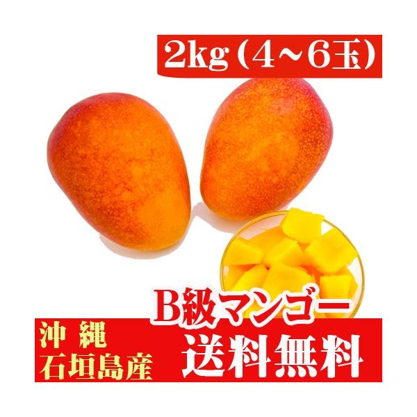 石垣島マンゴーB品 2kg 4〜8玉 : 果物と島野菜の店-石垣島