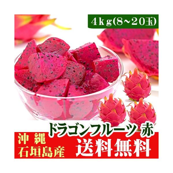 ドラゴンフルーツ 赤4kg(8〜20玉) 沖縄石垣島産 : 果物と島