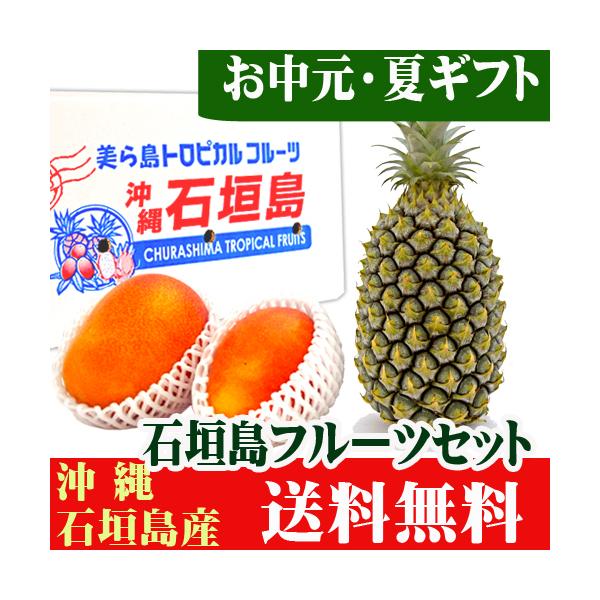 石垣島フルーツ詰め合わせギフト３玉セット（マンゴー２玉・石垣島パイン１玉）　送料無料