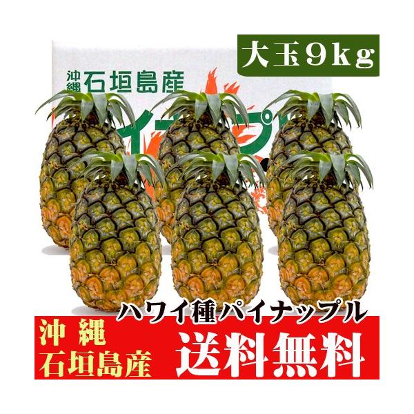 石垣島産パイナップル ハワイ種 大玉9kg 5 7玉 送料無料 Buyee Buyee 日本の通販商品 オークションの代理入札 代理購入