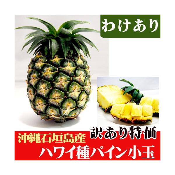訳ありハワイ種パイン小玉（約600〜800ｇ）　特価