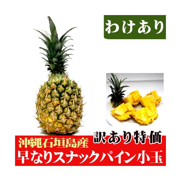 訳あり早なりスナックパイン小玉　（約４００〜５００ｇ）　特価