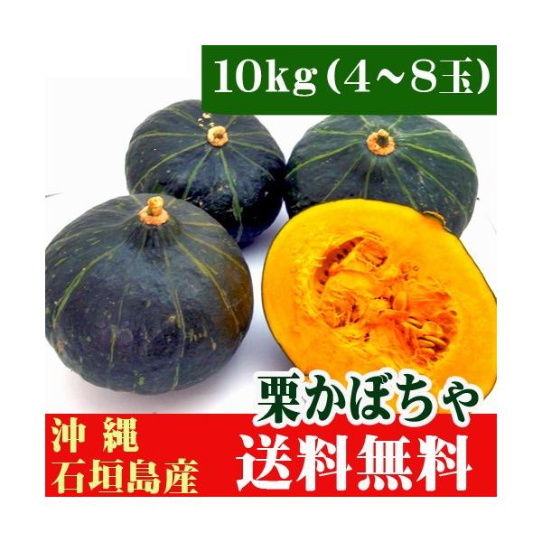 ティーダの栗かぼちゃ　１０ｋｇ(4〜8玉）石垣島産