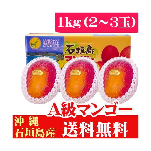 石垣島産完熟アップルマンゴー１ｋｇ ２〜３玉　当店最高品質A