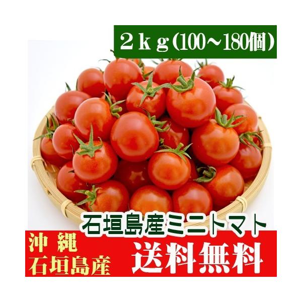 美らうまミニトマト２kg（100〜180個）石垣島産　送料無料