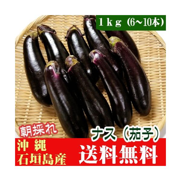 石垣島産 なす(茄子) １ｋｇ(6〜10本)朝採れ　送料無料