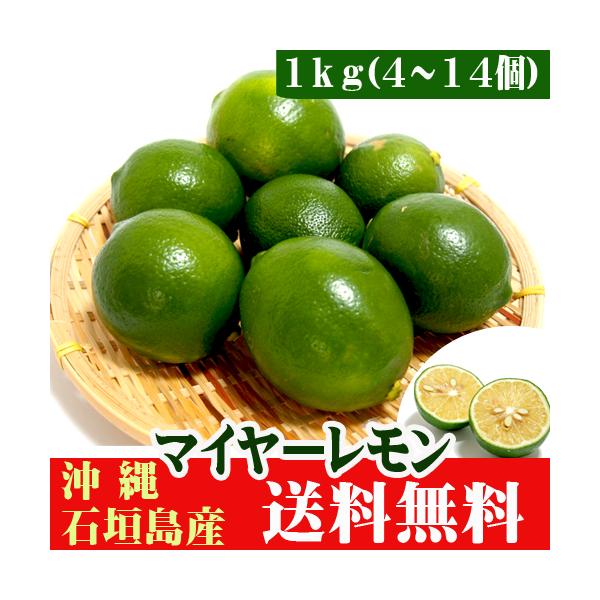 マイヤーレモン 石垣島産 1kｇ (4~14個） 送料無料