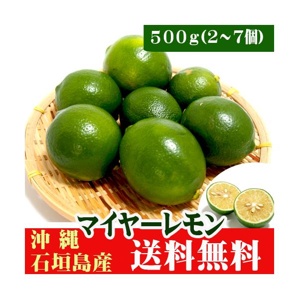 石垣島産グリーンレモン（マイヤーレモン）500ｇ（2〜7個）