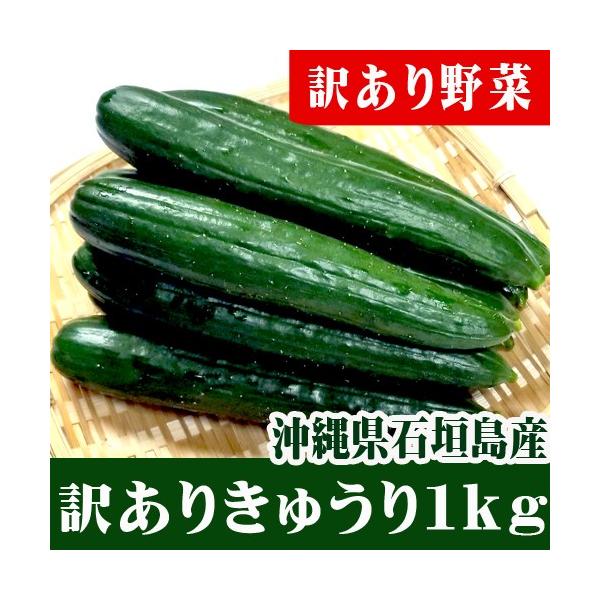 こちらは、大きすぎたり曲りすぎたり、色が薄かったりで業務店向けの出荷に適さない規格外や収穫から数日が経っているものなどの訳ありきゅうりです。せっかく農家さんが手間をかけて栽培してくれたきゅうり。見た目は悪いけど、美味しさはほとんど変わらない...