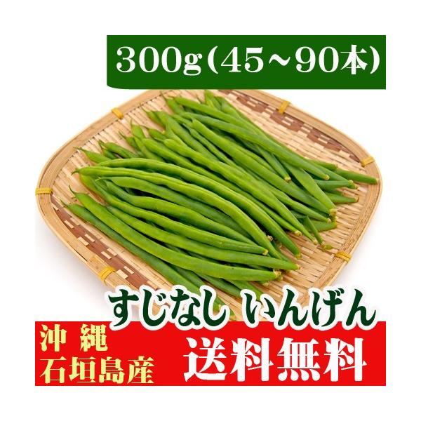 すじなしインゲン３００ｇ　沖縄石垣島産　送料無料