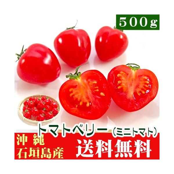 石垣島産トマトベリー500g (ハート型のミニトマト) 送料無料