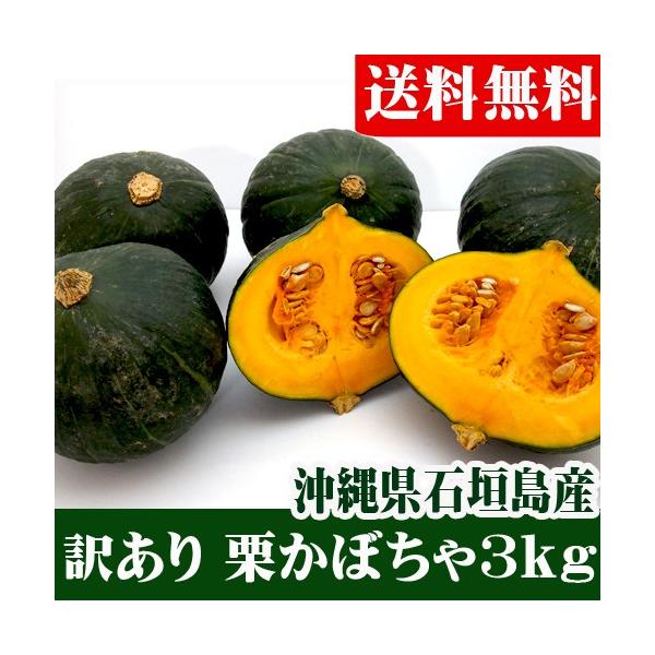 訳あり 栗かぼちゃ 3ｋｇ(1〜7玉）石垣島産　送料無料