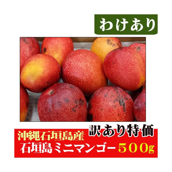 訳あり！石垣島産ミニマンゴー５００ｇ