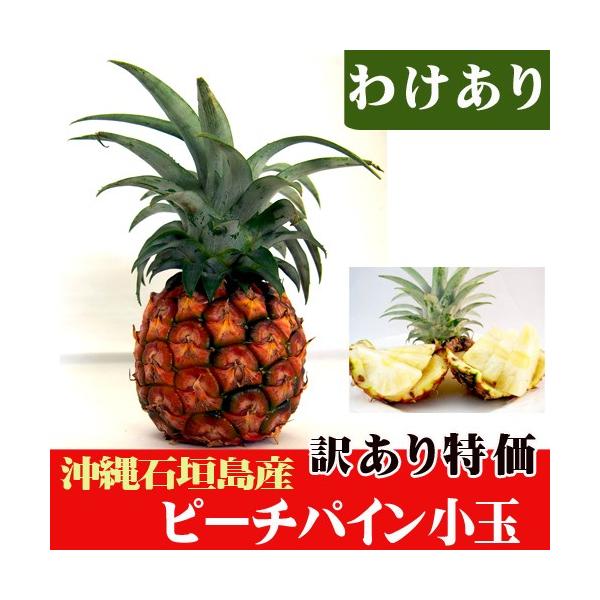 訳ありピーチパイン小玉（約400〜500g） 特価 : wakearipcpain 
