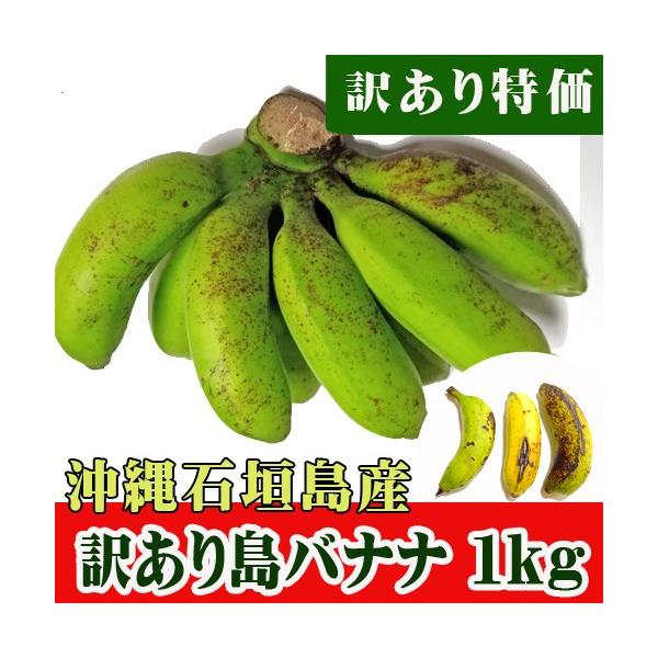 訳あり特価　島バナナ1Ｋｇ（6〜22本）沖縄石垣島産
