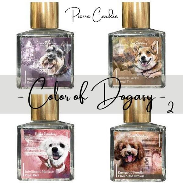 ピエール・カルダン Piere Cardin Color of Dogasy 2 : 石丸文行堂
