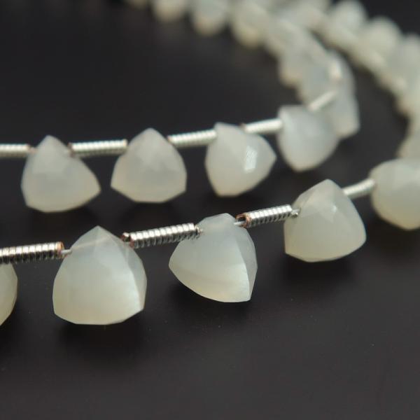 VR r[Y [Xg[``gCAOigAgjJbg7.5×7.5@1