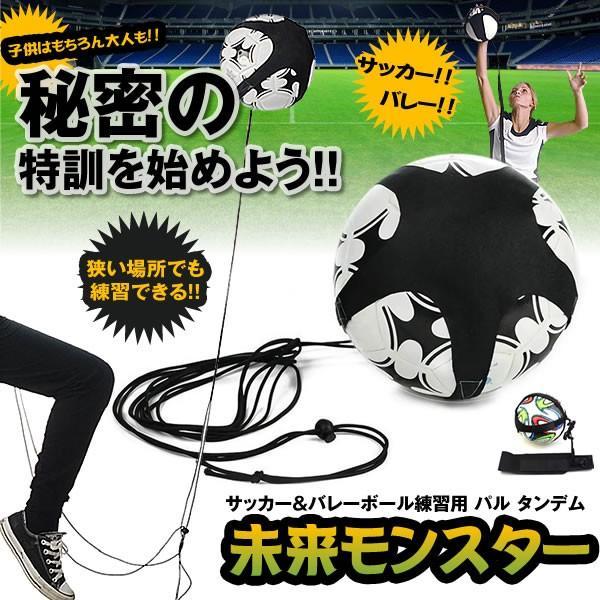 練習 ロープ バレーボール サッカー リフティング レシーブ パル タンデム 一人 サーブ 運動 Miraimonster F0426 4a Com Shot 通販 Yahoo ショッピング