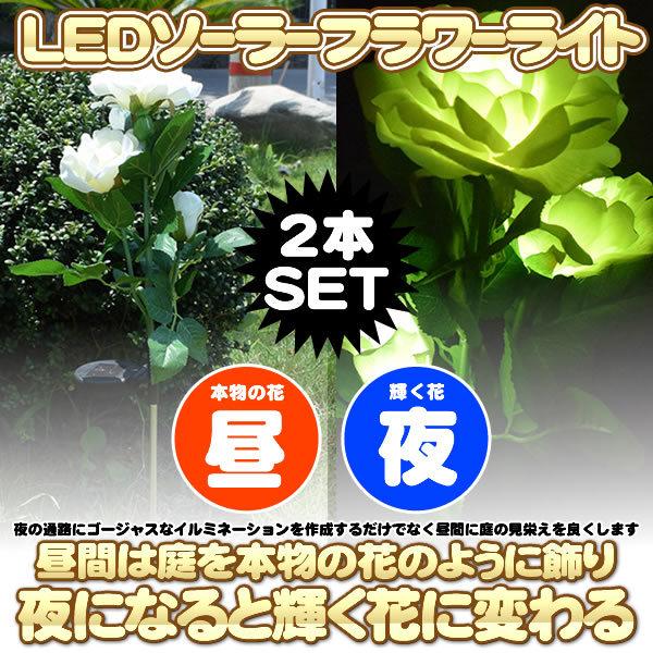 2本セット ソーラーライト 屋外 フラワー おしゃれ 明るい Led イルミネーション ライト ソーラーパネル 自動点灯 防水 庭 装飾 ガーデンライト Fragojas M Kh1009 50a 2set Com Shot 通販 Yahoo ショッピング