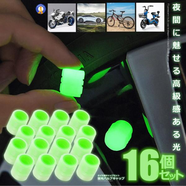 16Zbg ouLbv u   ^C O[ GAouLbv zC[ y ] oCN  ~  M8 Zp ėp  8-KEIBARU