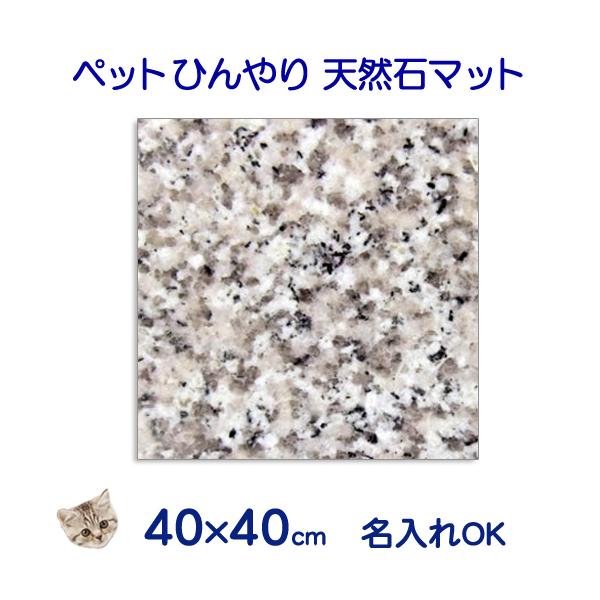 VR΂Ђ{[h@R[zCg@SO×SOZ`@^yʁ@R[i[qH@MǑ΍