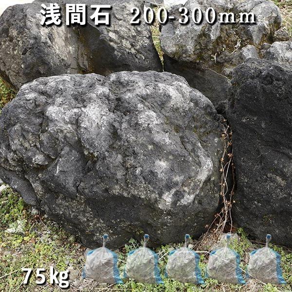 庭石 ロックガーデン 浅間石 200〜300mm 1袋2-3個 5袋 約75kg