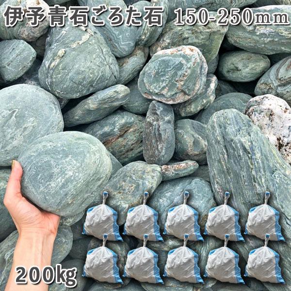 伊予青石 ごろた石 150ー250mm 10袋セット 計約200kg ガーデンロック 