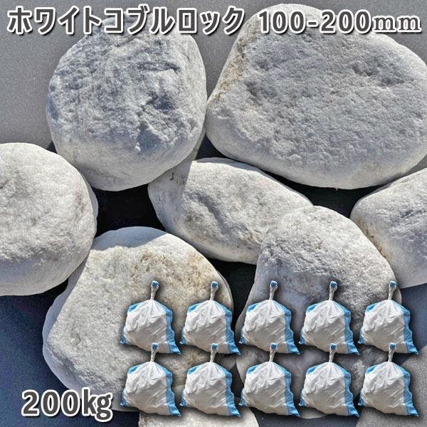 zCgRubN@150[250mm@10܃Zbg@v200kg  K[fbN K[fjO  DIY Ԓd  KrI  嗝 ʐ