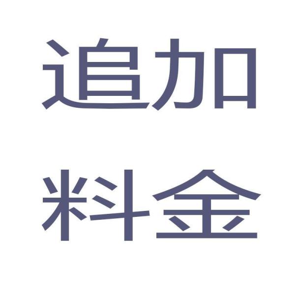 追加料金 オーダーメイド