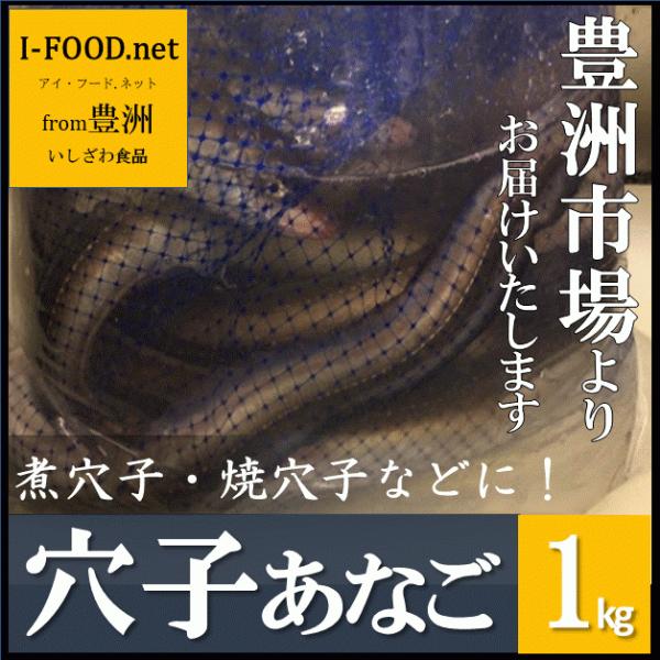 【この商品は】※お買い上げ金額15,000円(税込み)以上または送料無料商品と同梱で下記地域以外は送料無料！※商品在庫切れの場合は前注文承れます。入荷次第発送いたします【商品】鮮魚・穴子　<あなご>【内容量】1kg《その他、サイ...