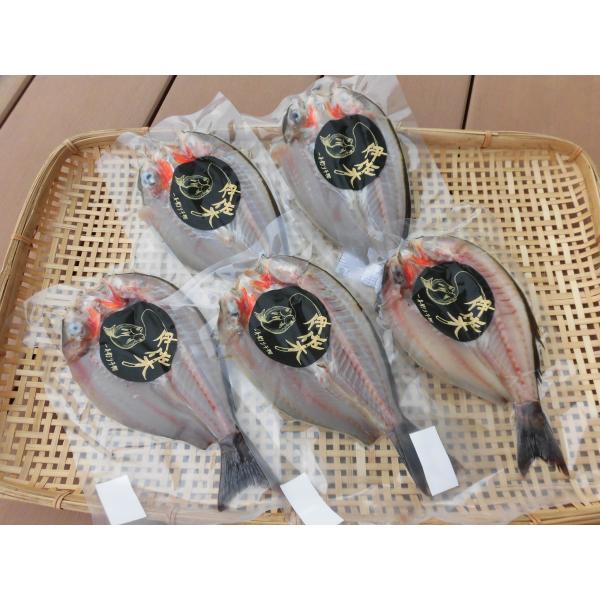 【一本釣りイサキ干物】即血抜きで臭み極少｜旨味凝縮｜冷凍便送料無料（沖縄・東北・北海道除く）Sサイズ5枚セット