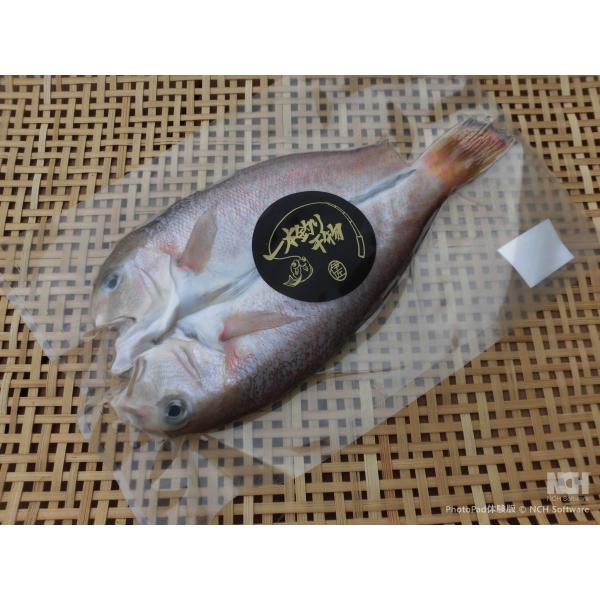 特別な日に、ご贈答に、ご褒美に｜シロアマダイ干物１枚（干し上がりで約300g前後）｜希少高級魚｜旨味甘味一級品｜冷凍便送料無料（沖縄・東北・北海道除く）
