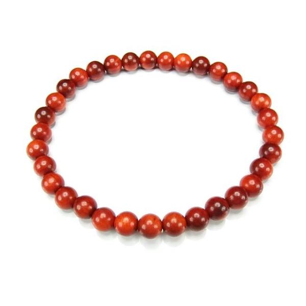 ΊXsvcȃLbcACʌ̖؃ubhhSEbh6mmuXbg