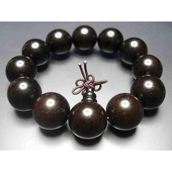 w̍xh؁iubNh؁j20~12O