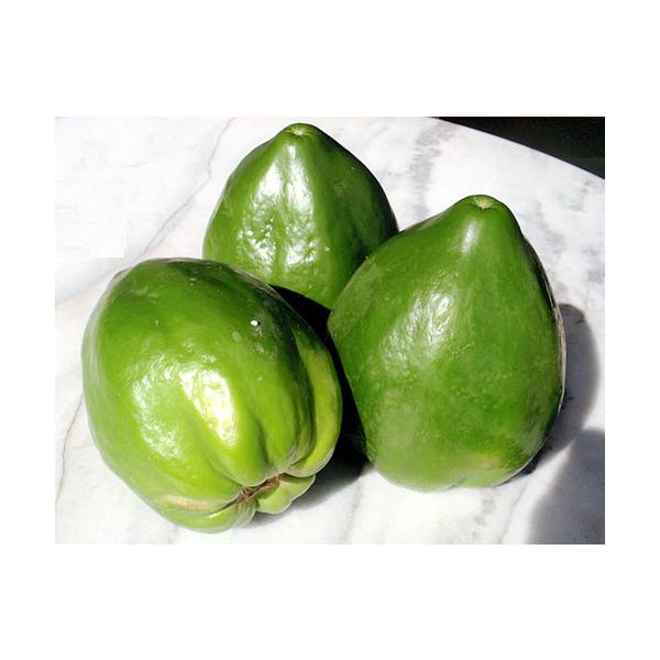 青パパイヤ（野菜用パパイヤ）とは・・・黄色いフルーツパパイヤをご存知の方も青パパイヤは知らないと言う方も多い方大と思います。沖縄ではパパイヤを熟さない青いうちに野菜として食します。カルシウムやビタミンCをとても多く含みまろやかな歯ごたえでく...