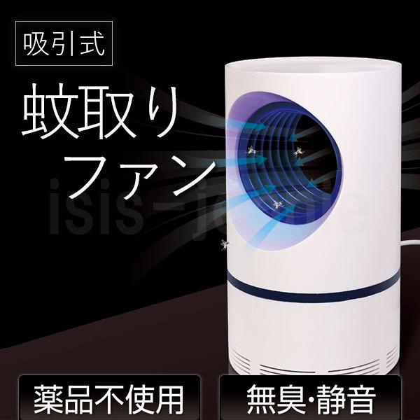  t@ z  ߒ É L   u[Cg 