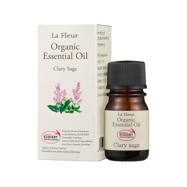 Et[@ NZ[W @I[KjbNGbZVIC@ 2ml@@Ⴡ[֑Ή